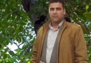 سقوط مرگبار مرد ۳۷ ساله از درخت در روستای لاوین پیرانشهر باعث جان‌باختنش شد!