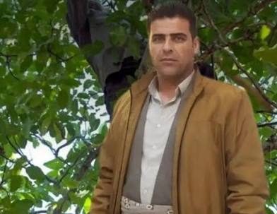 سقوط مرگبار مرد ۳۷ ساله از درخت در روستای لاوین پیرانشهر باعث جان‌باختنش شد!