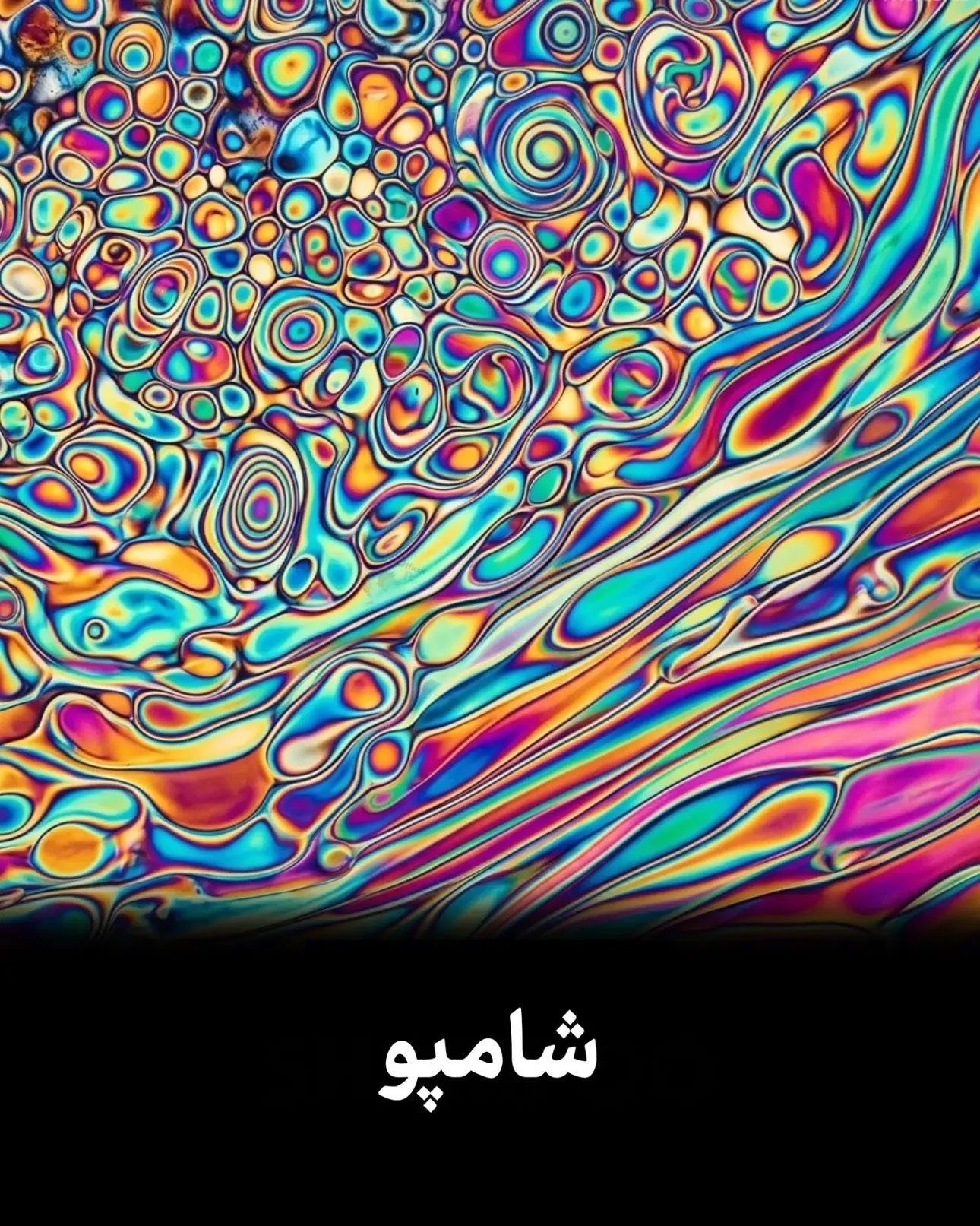 سفری به دنیای میکروسکوپی؛ زبان گربه، چمن، شامپو و کافئین زیر میکروسکوپ چه شکلی‌اند؟