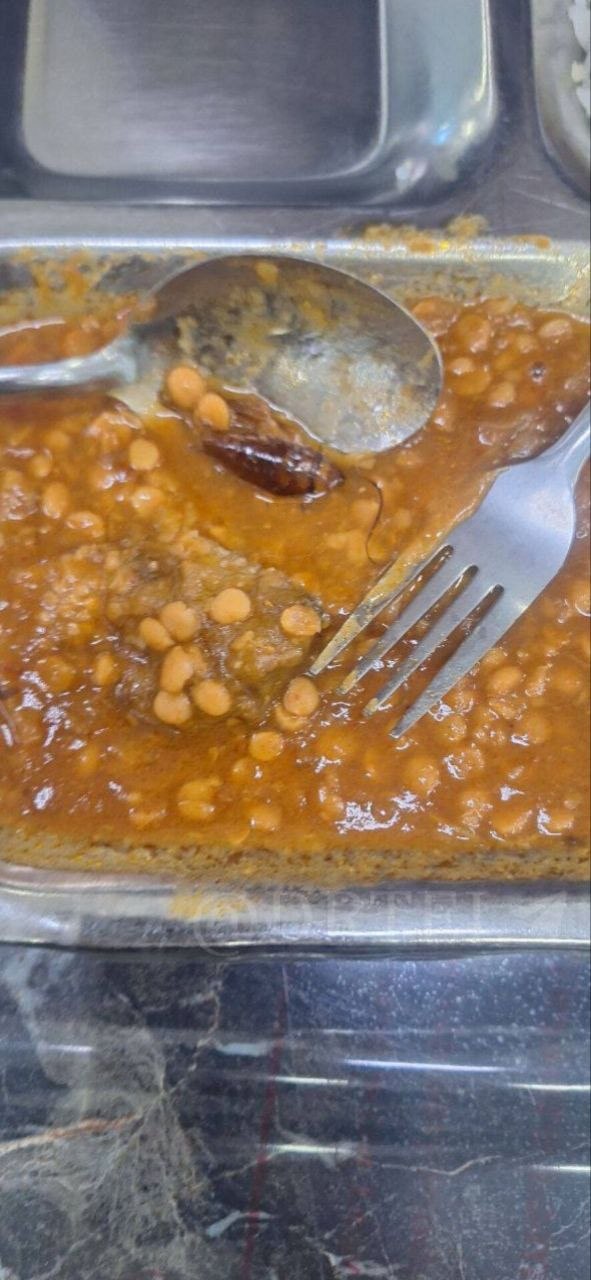 سوسک بالدار در قیمه سلف دانشگاه علوم پزشکی تهران اعتراض دانشجویان را برانگیخت!