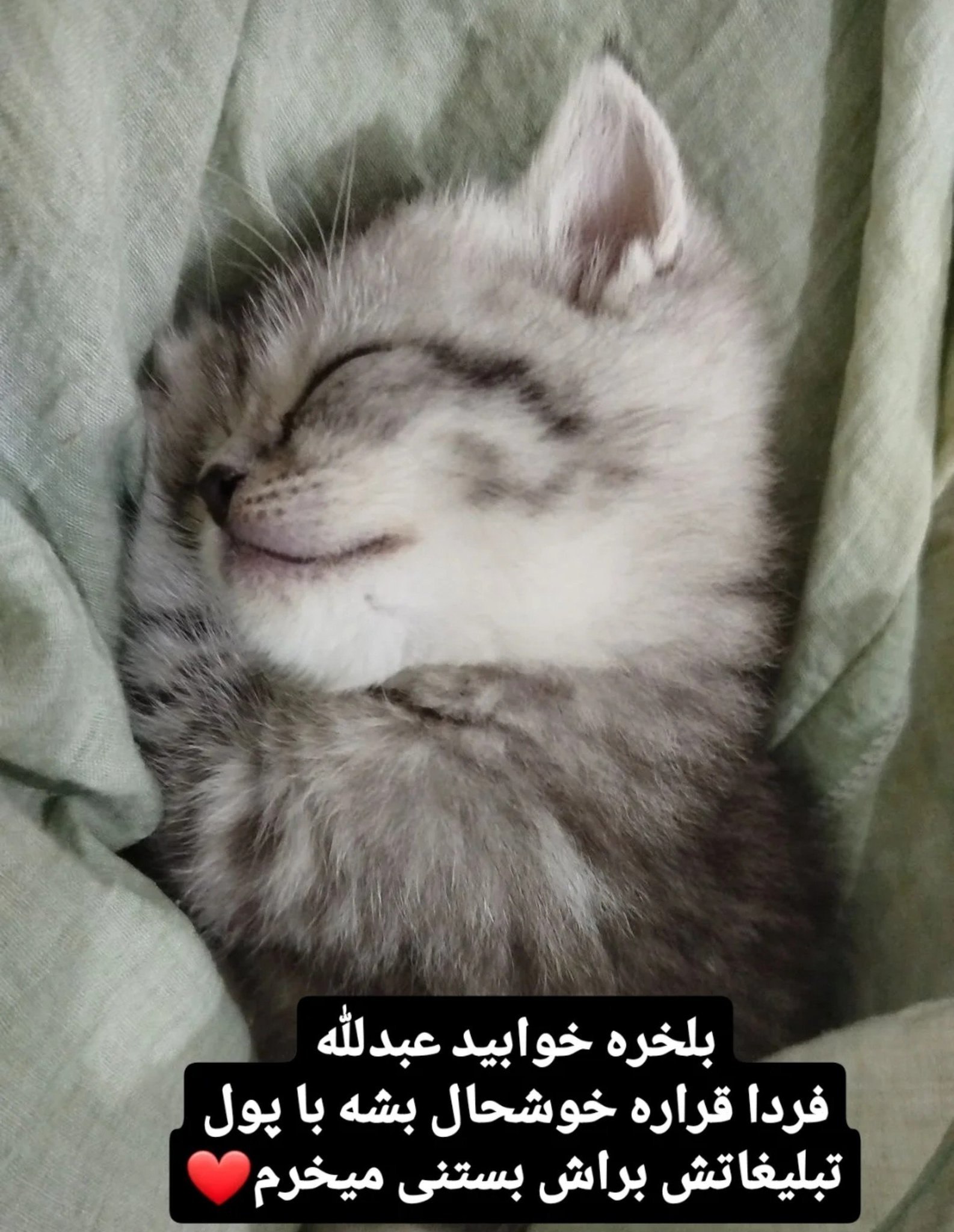 خبر خوش اینکه بالاخره یبوست عبدالله برطرف شده و راحت می‌خوابد!