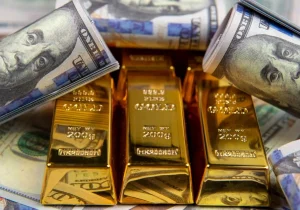 شناسایی ۷۰ دانه‌درشت بازار ارز و طلا؛ گردش مالی مشکوک ۱۳۰ همتی در یک ماه رو شد!