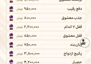 دعا و طلسم هم قسطی شد؛ اول «کار» را انجام می‌دهند، بعد پولش را قسطی در اسنپ می‌گیرند!