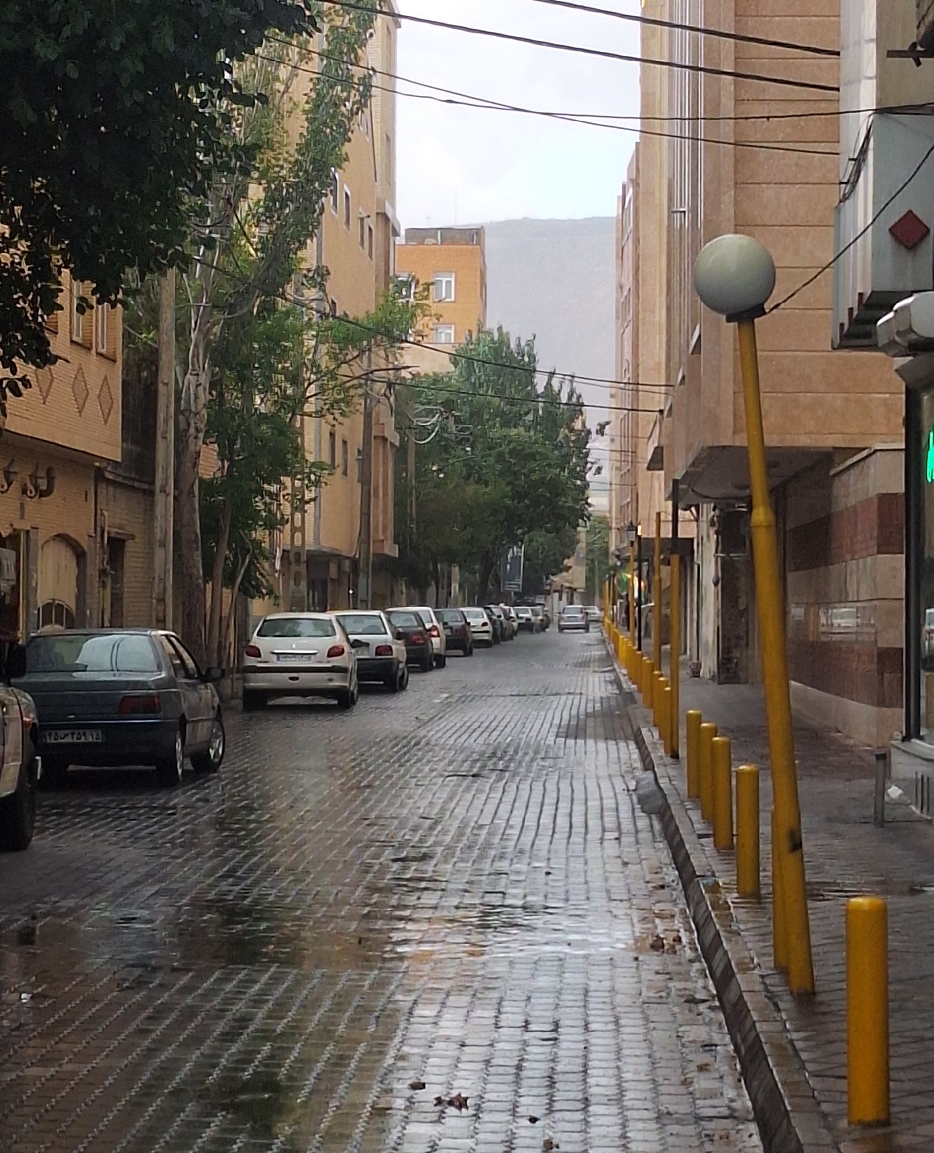 بارش شدید باران و رعدوبرق تبریز را فرا گرفت