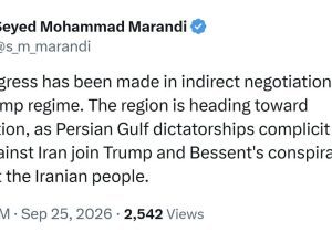 مرندی: هیچ پیشرفتی در مذاکرات غیرمستقیم ایران و آمریکا حاصل نشده است و منطقه به سمت تشدید تنش می‌رود
