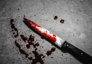 قتل مادرزن با ۱۸ ضربه چاقو