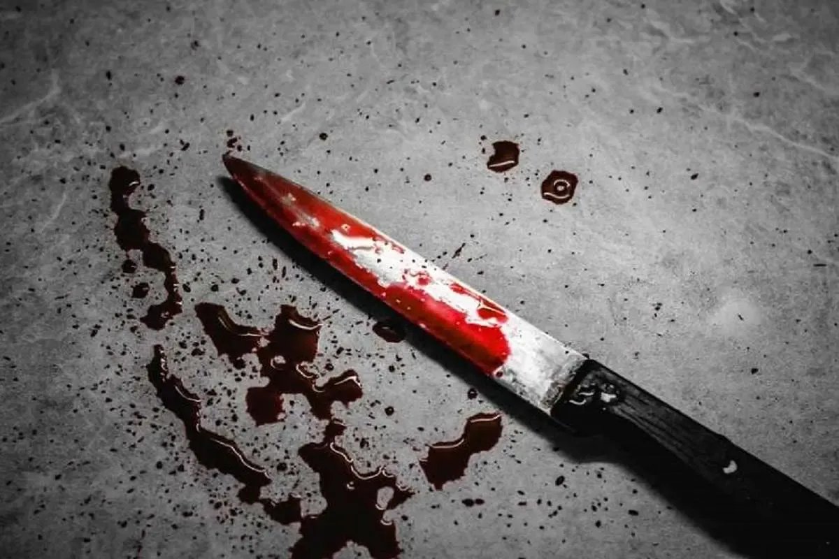 قتل مادرزن با ۱۸ ضربه چاقو