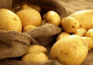 سیب‌زمینی ارزان نشد؛ قیمت تا ۱۳۰ هزار تومان رسید